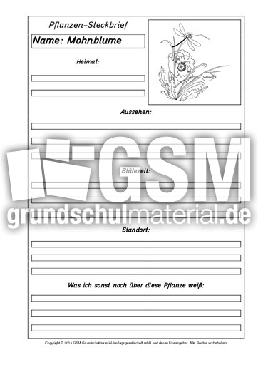 Pflanzensteckbriefvorlage-Mohnblume-SW.pdf